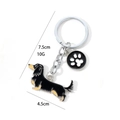 Cartoon metal dachshund keychain in black and brown finish with silver ring and paw charm - Black Dachshund (Black Long Dachshund Paw)