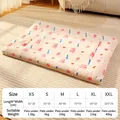 Coperta beige in flanella per animali con stampa Happy rosa, tabella taglie - XS (35*28cm) / Coniglio bianco e rosa