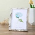 Distressed white wood grain photo frame with watercolor blue hydrangea illustration - Retro White