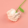 Close-up of handmade crochet carnation with pink and white gradient petals and green leaves - Finished Carnation Stems (champagne Color)
