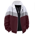 Sweat à capuche zippé pour homme avec design color-block blanc, gris et bordeaux - S / Bordeaux