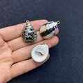 Close-up of gold-plated natural seashells pendants with black and white spotted patterns - No.25 (Black-White Spotted Shell - Gold Edging)