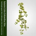 Künstliche Enkianthus-Herbstranke 90cm gelb-grüne Hängepflanze mit oberem Ring - Ranken-Stil (Mit Ring) / Herbstfarbe (Ranken-Stil)