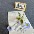Artificial silk poppy in light blue with three blooming flowers and one bud - Light Blue