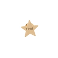 Star-shaped golden enamel pin with I tried engraving on a clean white background - Gold Pentagram (C2026)