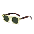 Occhiali da sole rotondi color champagne con stanghette tartarugate e rivetti in metallo - Occhiali da sole / Giallo Trasparente / Asta Tartarugata / Lenti G15