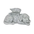 Chien Ange