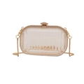 Transparente Acryl-Mini-Box-Clutch mit goldenem Metallrahmen und abnehmbarer Kette - Vertikal Rechteckig