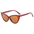 Trendy cat-eye sunglasses for women with a translucent amber frame and dark brown lenses - Dark Tea Frame Tea Lens