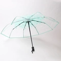 Three-fold transparent umbrella featuring light green cherry blossom patterns and 8-rib frame - Automatic Sakura Green
