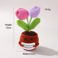 Handmade crochet pink and purple tulips in a smiling pot with a life greeting card - Positive Potted-2 Purple Tulips
