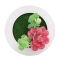 Artificial succulent wall decor in a white round frame with pink and green faux plants - Style 12F