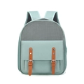 Breathable mint green pet carrier backpack with large mesh window and vintage front pocket - Korean Style / Green