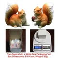 Set of two cute resin squirrel figurines with detailed fur texture in a white gift box - Two Squirrels White Box Set