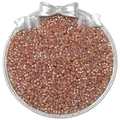 Lustrous 2.5mm champagne glass seed beads in a decorative silver tray for DIY jewelry - Bronze (10g/Pack Approx 700pcs)