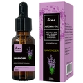 Lavender aroma oil 20ml dropper bottle and purple gift box for aromatherapy - DC-20 Lavender / 20ml