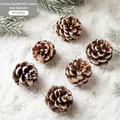 Set of 6 natural pine cones with white snow spray and silver hanging loops for Christmas - 5CM White Snow Pinecones 6Pcs Set