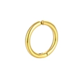 Orecchini a cerchio in acciaio inossidabile dorato lucido dal design minimalista - 2.5*10mm / Oro
