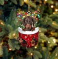 Weihnachtswelpe im roten Schneeflocken-Strumpf mit Lichterkette als Dobermann-Anhänger - Dobermann Typ 3