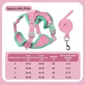 Größentabelle für rosa-mintgrünes Haustiergeschirr-Set aus Netzgewebe für Katzen - XL / Kirschnebel Magisches Rosa