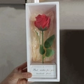 Single red artificial rose in white window gift box with Best Wishes greeting - Red Rose + Box Foreign Version
