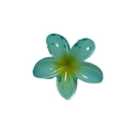 Blue and yellow gradient plumeria flower hair claw clip on a pure white background - 13# Trumpet Flower Green