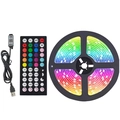 5050 RGB LED strip set with 44-key remote and USB controller on white background - 1m Not Waterproof / 44-key Bluetooth Music Player + 5050 Rgb Led Strip (30 Leds/meter)