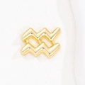 Macro detail of high-polish gold Aquarius zodiac bubble pendant with smooth mirror finish - Aquarius
