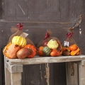 Drei Netztaschen mit Herbstkürbissen, Eicheln und Ahornblatt-Deko für Erntedankfest - Kürbis Gemischte Früchte Deko-Pack / Klein