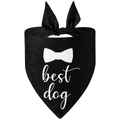 Detail of black fabric dog wedding bandana featuring white best dog print and bow graphic - Style 2-Black Best Dog Bow Tie
