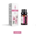 10ml Lily essential oil bottle with a minimalist white gift box for home humidifiers - Lily