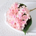 Jade Pink