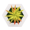 Artificial succulent in white hexagonal pot with yellow-green leaves and red tips - Style 5E