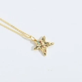 Star shaped necklace in golden finish with colorful zircon stones and delicate thin chain - Pentagram