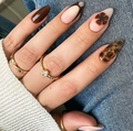 Almond press-on nails with brown leopard print and dark floral patterns on a hand - Leopard Print Mixed Style (CW656) / Black Jelly Glue + Nail File
