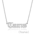 Macro shot of silver Taurus zodiac pendant featuring artistic cursive script lettering - Taurus (Steel Color)