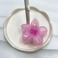 Molla per capelli a forma di fiore di frangipane rosa in resina su vassoio bianco - 8cm / Rosa Chiaro Gelatina