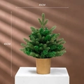 Mini green 45cm glowing PE Christmas tree with gold vertical stripe metal base pot - Standard Type (No Light) / 45cm