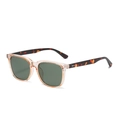 Square sunglasses with champagne transparent frames and tortoiseshell temples - Transparent Tea Frame Hawksbill Leg G15 Polarized C4