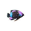 Tropical angel fish brooch with blue crystals and multicolored enamel finish - Purple Enamel Tropical Fish Style (YNCP2400)