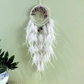 White dream catcher with purple crystal tree of life and feathers on a green wall - White