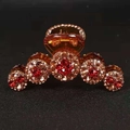 Elegante pinza per capelli con strass rossi e champagne su base trasparente - Strass Rosso Argento