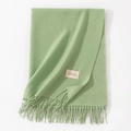 Soft pale green faux cashmere scarf featuring a woven texture and elegant fringe edges - 70*200cm / Grass Green