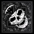 Classic 100% cotton paisley bandana featuring a central skull graphic for outdoor sports - Black Headband Skull