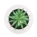 Artificial succulent in round white pot with moss detail and purple tipped leaves - Style 5F