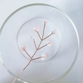 Handcrafted copper wire tree ornament featuring natural pink crystal quartz in glass bowl - 15CM / Rose Quartz