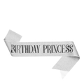 Silver glitter Birthday Princess sash for party girls with black lettering on white background - Block Letter Silver Sash