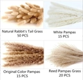 Detailed overview of white and natural pampas grass with rabbit's tail grass set for decor - ££££001 - Four-piece Set £££££