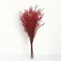 Preserved deep red limonium dried flower bouquet for home decoration and DIY flower arrangements - Red (120g)