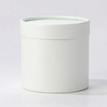 Minimalist white round flower gift box with matte finish and lid for floral arrangements - Fashion Light Green